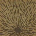 Willem Nyland - Piano Studies 337